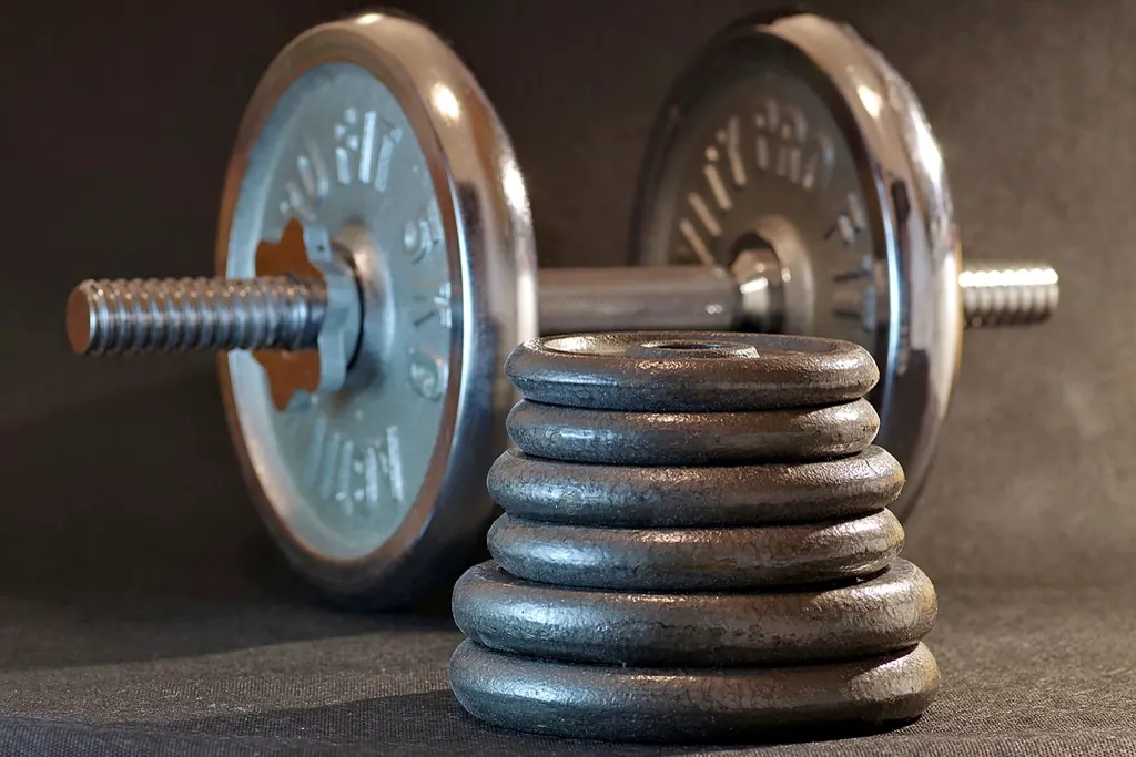 Dumbbell with a stack of iron weight plates